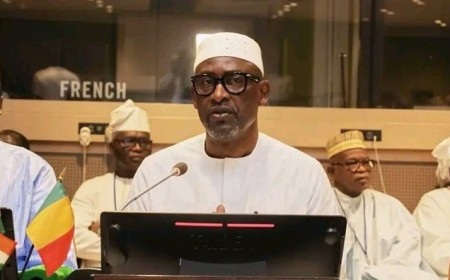 ONU : quand le Mali, le Niger et le Burkina Faso œuvrent pour la déconstruction des discours erronés sur l’AES