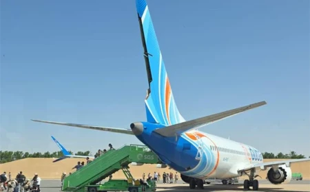 Le pilote poignardé à bord d'un Boeing 737 de Flydubai filmé dans son avion