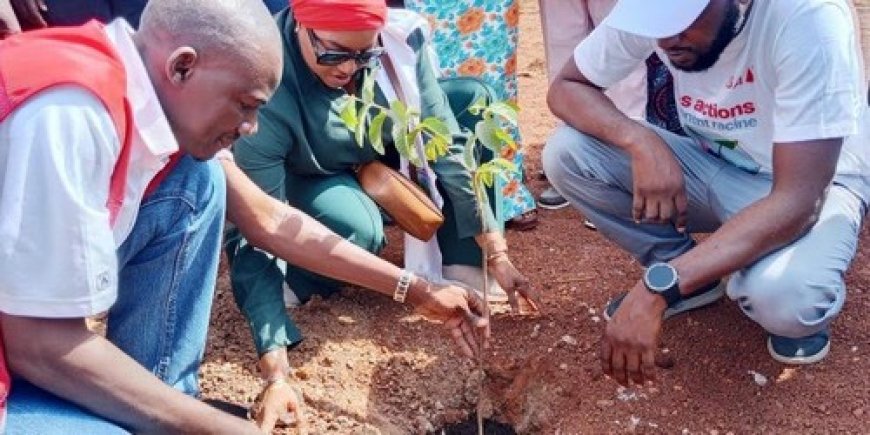 Environnement : la Croix-Rouge malienne et UBA-Mali mobilisées pour renforcer le couvert végétal de Bamako