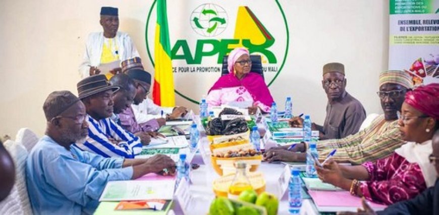 Apex-Mali : Alwata Ichata Sahi appelle à consolider les performances à l’export