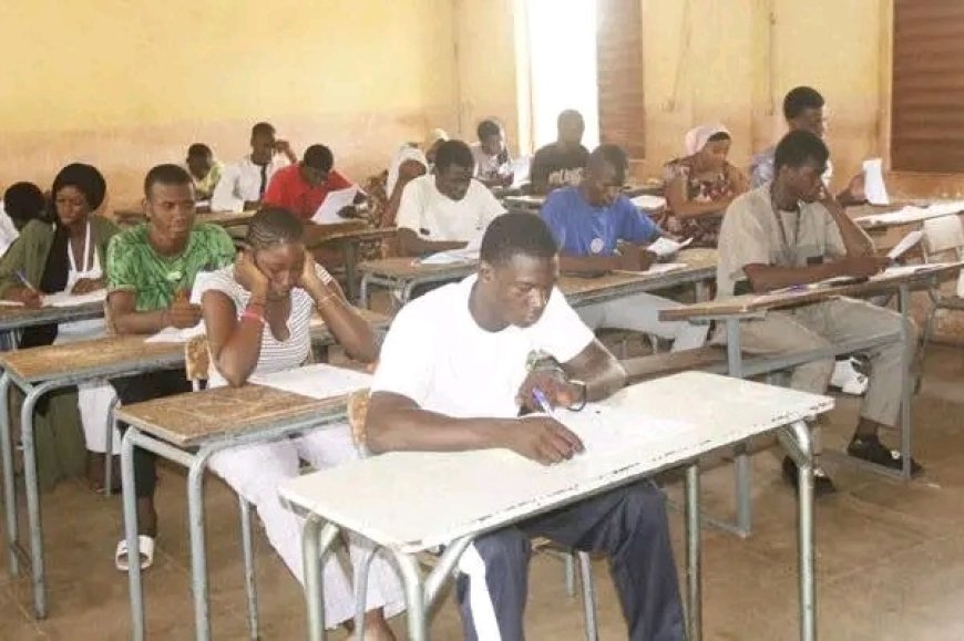 Mali: Plus de 5.200 candidats inscrits au Brevet de technicien agro-pastoral
