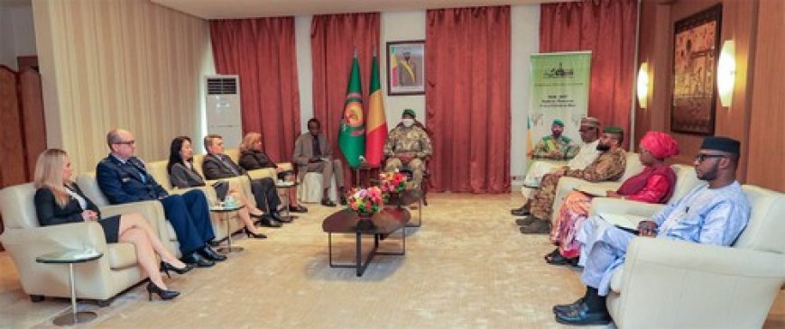En fin de mission au Mali :  L'ambassadrice des Etats-Unis fait ses adieux au président de la Transition