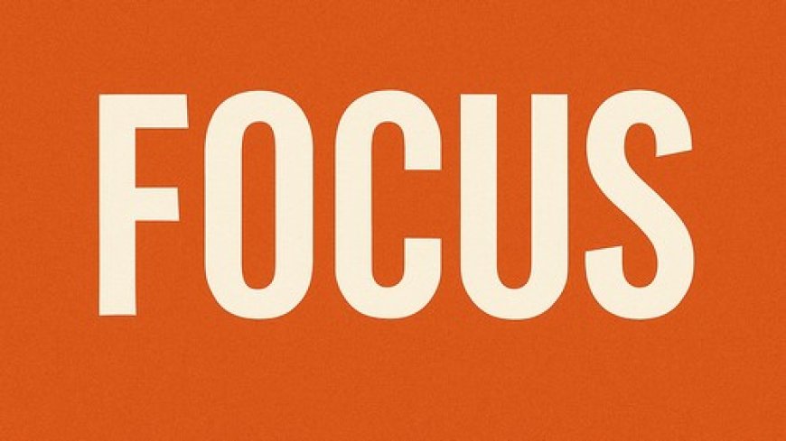 Focus :  Pacte de bon voisinage