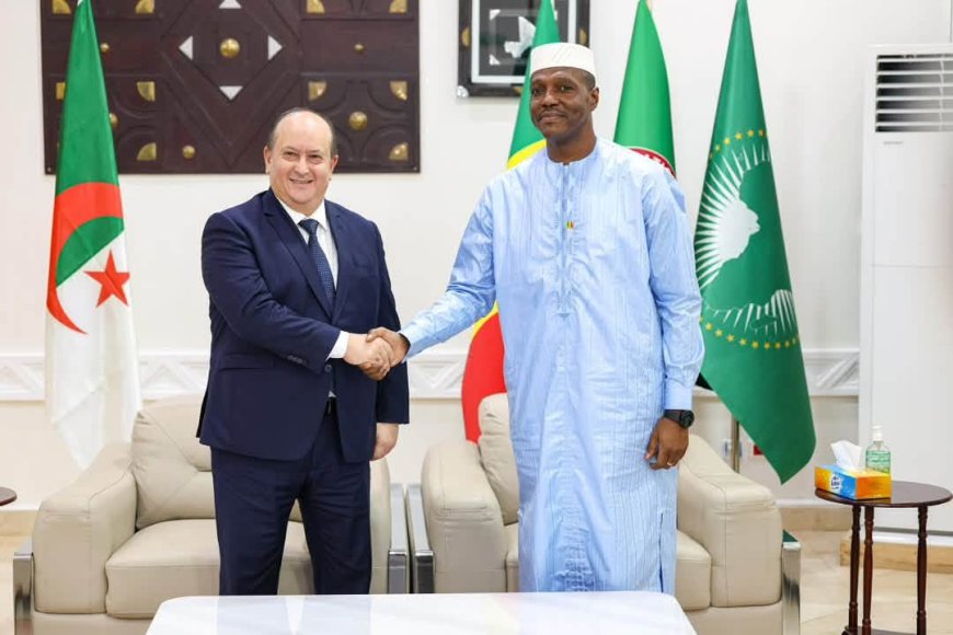 "Une nouvelle étape dans nos relations historiques" : le discours du Premier ministre algérien à Bamako