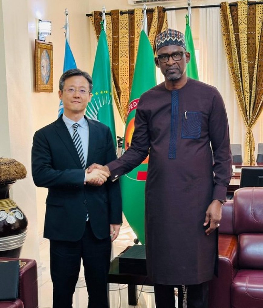 Visas chinois : Bamako et Pékin à la recherche d'un dénouement