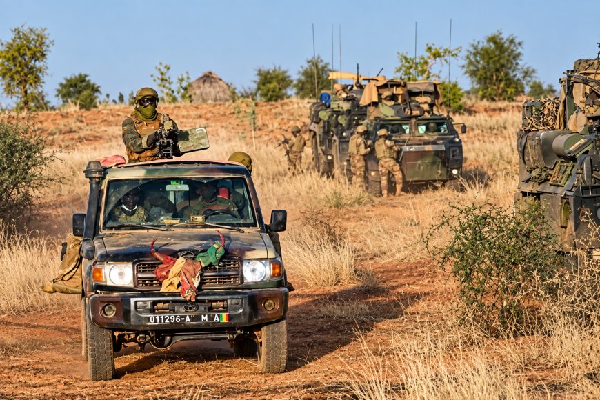 Les FAMa et l’Africa Corps du ministère russe de la Défense ont frappé des terroristes dans deux régions