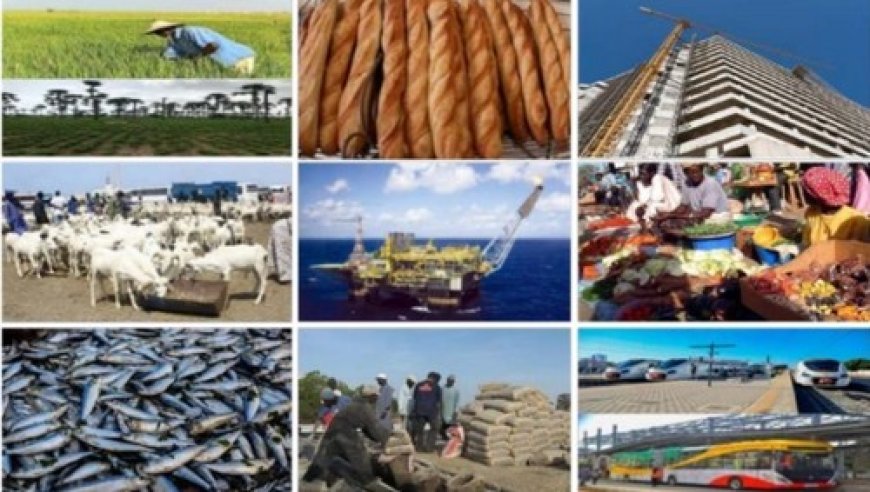 Perspectives en baisse, risque de crise institutionnelle et tensions énergétiques : La démocratie sénégalaise à l'épreuve des difficultés économiques