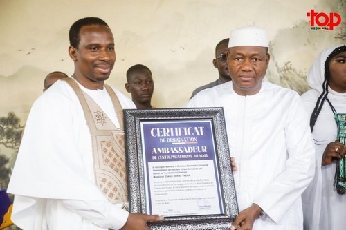 Entrepreneuriat au Mali et en Afrique :  Cheick A. Théra désigné ambassadeur par IDS