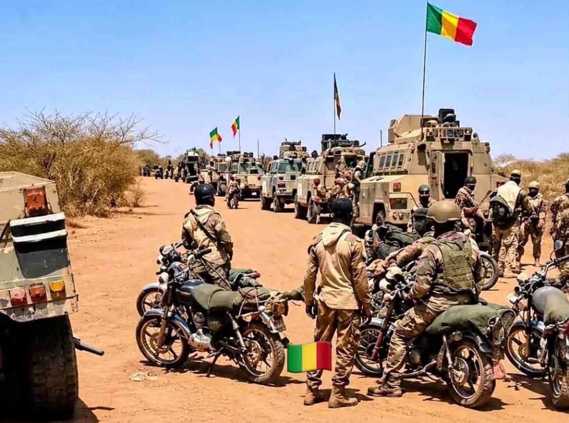 Cram Cram : l'herbe tenace du désert qui inspire l'offensive des FAMa à Kidal