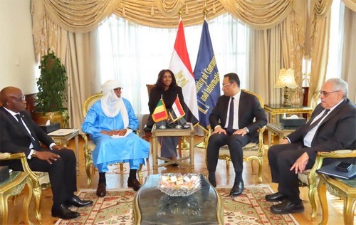 Mali - Egypte : Alhamdou Ag Ilyène au Caire pour renforcer la coopération numérique