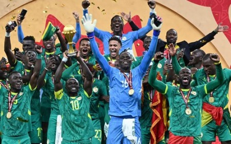 Lions de l’Atlas - Lions de la Terranga : Le roi d'Afrique couronné bientôt par le TAS