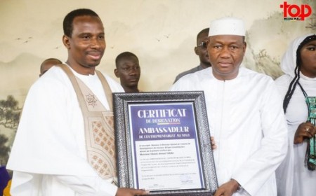 Entrepreneuriat au Mali et en Afrique :  Cheick A. Théra désigné ambassadeur par IDS