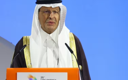 L'Arabie Saoudite reconnaît être "mise à l'épreuve" par les frappes houthies