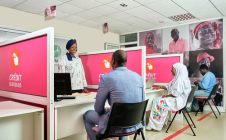 Microfinance : Baobab Mali accorde plus de 5 milliards de FCFA de crédits chaque mois