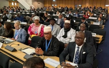 Mali : plus de 414 000 déplacés internes, 322 584 réfugiés et demandeurs d’asile sur le territoire