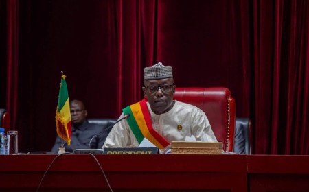 Mali : le CNT adopte à l’unanimité la mise en conformité de la loi sur les langues officielles