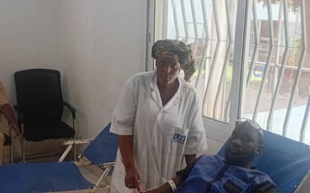 Bamako : une journée de don de sang en soutien aux FAMa
