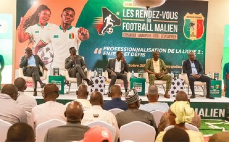 Professionnalisation de la ligue 1 : Le football malien face à ses défis