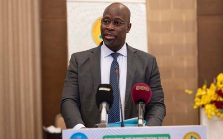 Fiscalité :  Hamadou Fall Dianka salue la résilience des pays de l'AES 