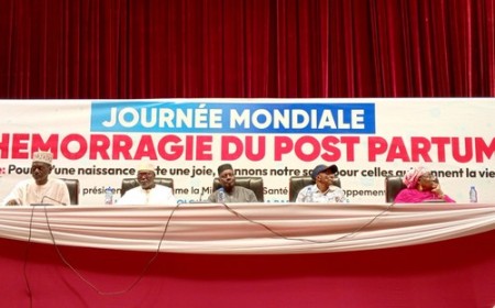 Commémoration de la Journée Internationale de Lutte contre l’Hémorragie du Post-Partum : Le Mali renforce ses rangs contre les décès maternels !