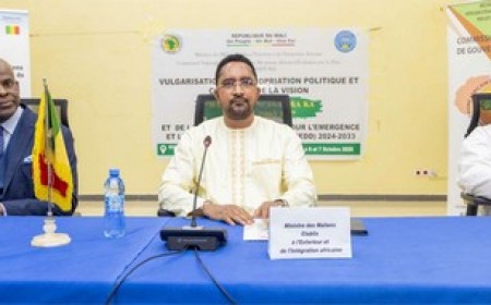 Diaspora malienne : Un cadre de concertation pour passer du dialogue aux solutions