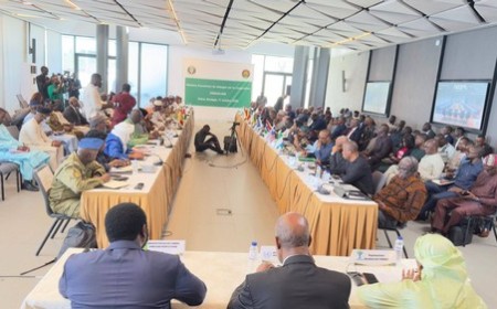 AES-CEDEAO : La confédération verrouille sa doctrine avant Dakar 