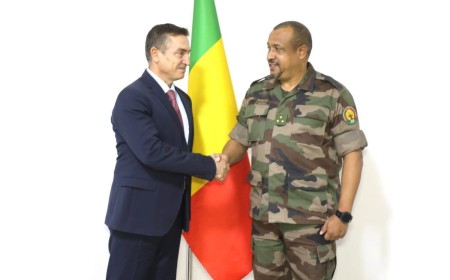 Coopération Mali Türkiye : Vers un renforcement du partenariat dans le domaine de la sécurité