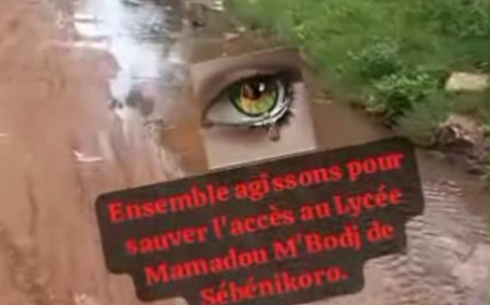 Gestion de l’environnement dans le IVè arrondissement du district de Bamako : La rue du lycée Mamadou Mbodj, symbole d’un abandon préoccupant