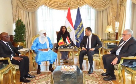 Mali - Egypte : Alhamdou Ag Ilyène au Caire pour renforcer la coopération numérique