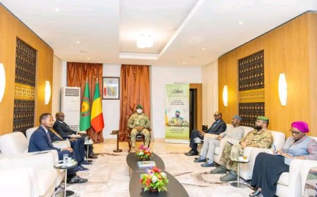 Mali-Rwanda : Assimi Goïta et Olivier Nduhungirehe veulent concrétiser les accords de coopération
