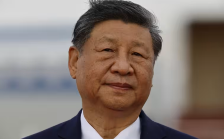Xi Jinping : les ressources minières africaines "appartiennent à l'Afrique"