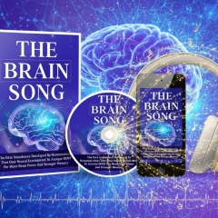 The Brain song