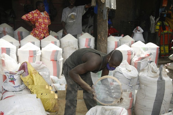 Gaspillage alimentaire : 931 millions de tonnes de nourriture jetées dans les poubelles en 2019