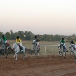 Le champ hippique de Bamako