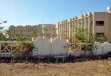 Université de Bamako