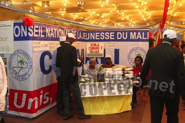 Paix, réconciliation et vivre ensemble au Mali :  Les médiateurs du CNJ Mali renvoyés à leur mission