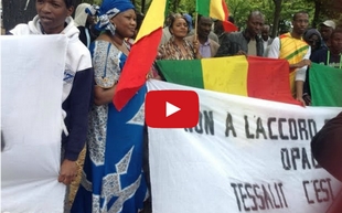 Pour la dignité du Mali, Les maliens et amis du Mali se rassemblent à Paris