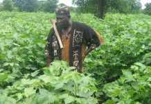 Bakary Togola : Un paysan modèle qui a fait ses preuves, victime d’une cabale