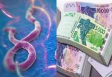 Roue libre : 2014, année de lutte contre la corruption ou année de lutte contre Ebola ?