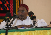 Ali Nouhoum Diallo