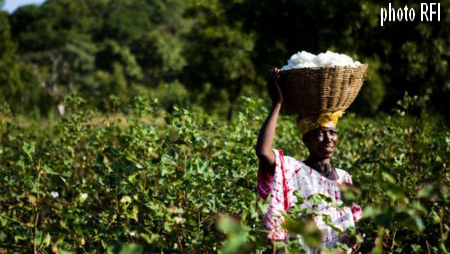 Coton africain: Les attentes comblées à Nairobi