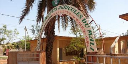 Gestion de l’office des produits agricoles du Mali (OPAM) : Le niveau de mise en œuvre global des recommandations jugé satisfaisant selon le BVG