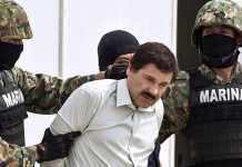 Arrestation d'El Chapo