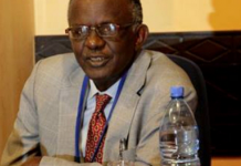 L’Expert indépendant sur la situation des droits de l’homme au Mali Suliman Baldo.