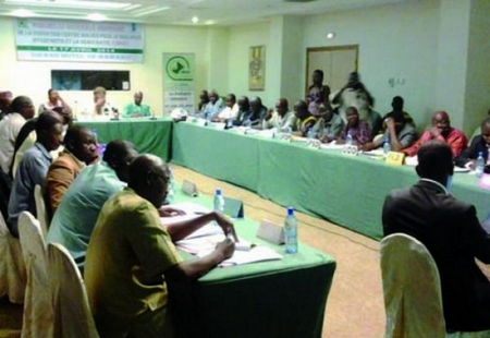 Réformes électorales au Mali : Des recommandations pertinentes pour améliorer le système électoral