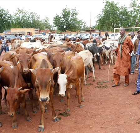 SIAGRI 2016 : Le SYNELPROV, non partant