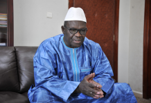 Le ministre des Domaines de l’Etat et des Affaires foncières, Mohamed Ali Bathily