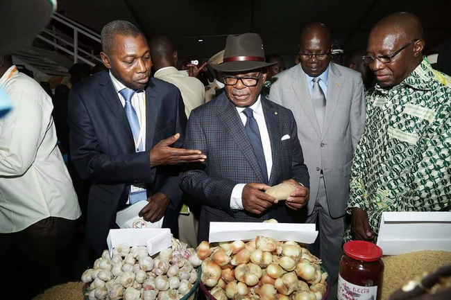 Office du Niger et lutte contre le chômage : Boubacar Sow, le PDG intérimaire espère voir plus de jeunes dans l’agriculture