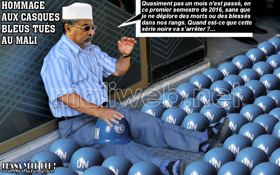 Hommage aux casques bleus tués au Mali