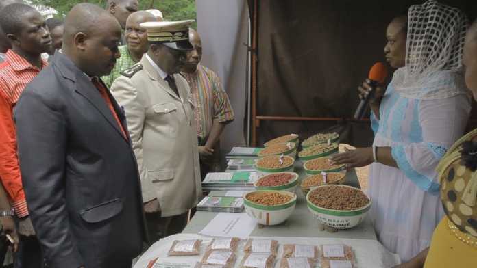 Le Gouverneur et le coodinateur du projet visitant le stand d'ICRISAT tenu par Mme Keita Djeneba Konaté